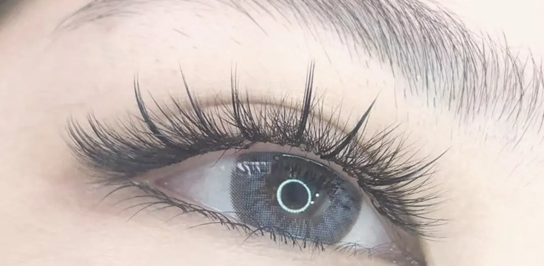 A Design Wispy set, photographed close along the lash line